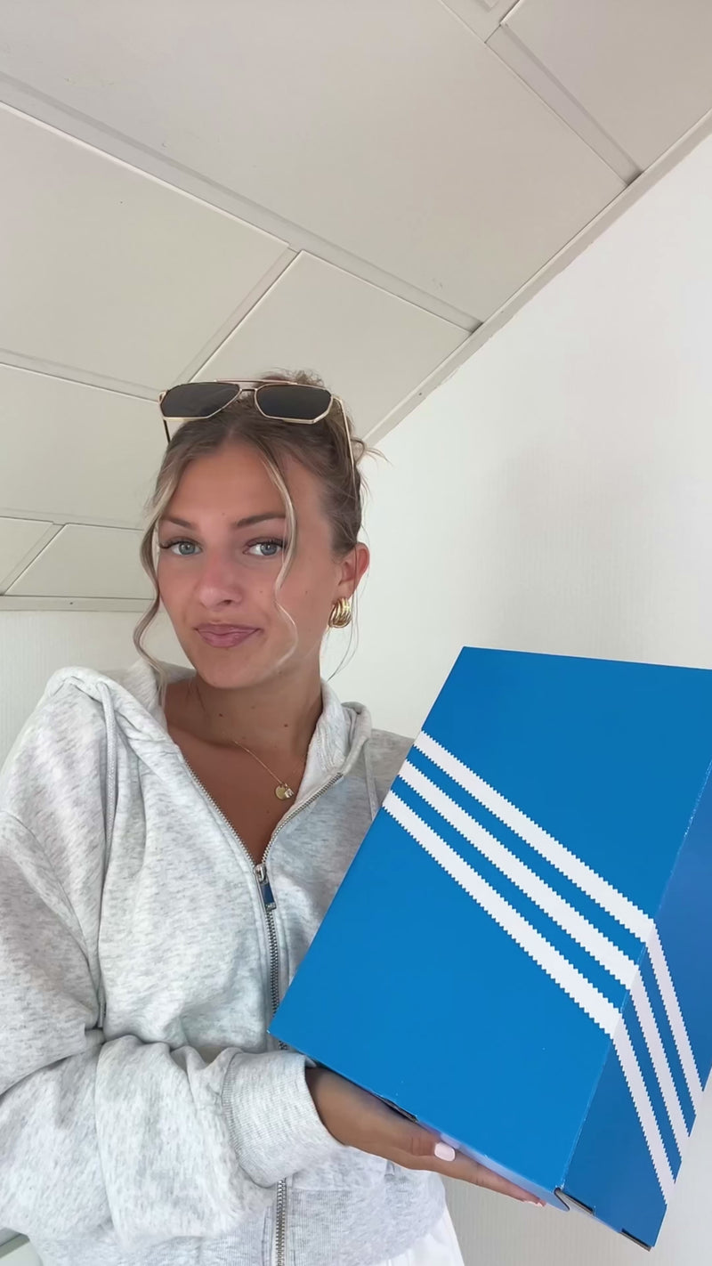 Video preview